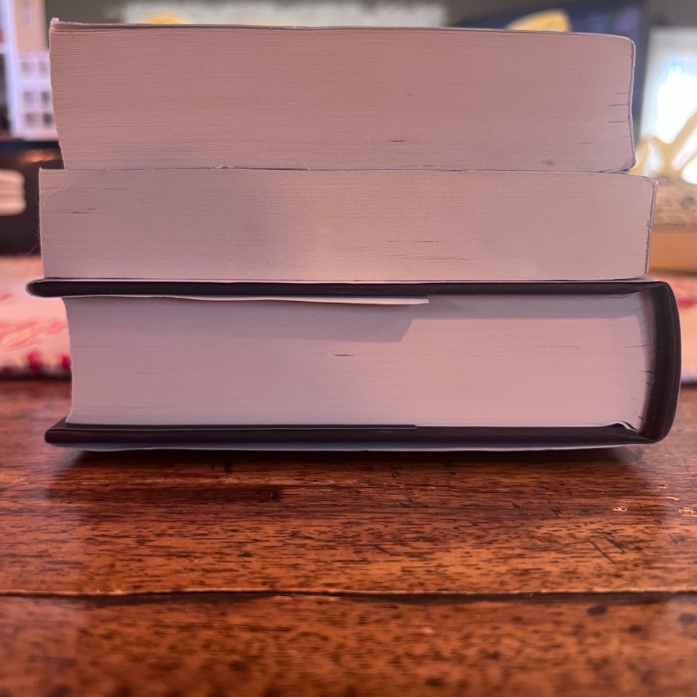 The Shadow Glass, The Haunting of Ashburn House & Storm and Fury horror fantasy - Picture 6 of 6